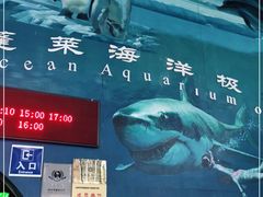 -蓬莱欧乐堡海洋极地世界