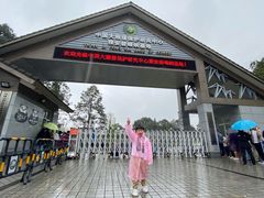 -中国大熊猫保护研究中心雅安碧峰峡基地