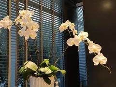-海上明月(购物公园店)