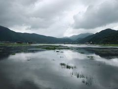 -腾冲北海湿地
