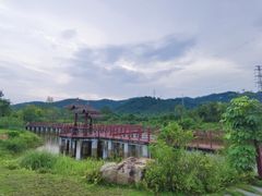 -美的鹭湖森林度假区