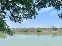 -大湾区中央湿地公园
