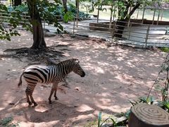 -深圳野生动物园