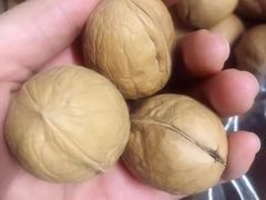 核桃-运城特产店