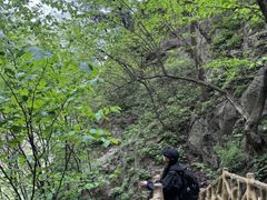 -洛阳白云山景区