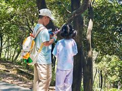 -火炉山森林公园