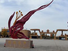 -金塔沙漠胡杨林景区