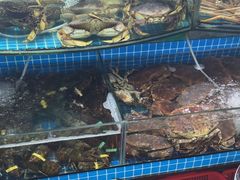 -望海潮海鲜店 特色家常菜(在海一方店)