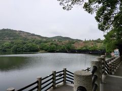 -白马涧龙池景区