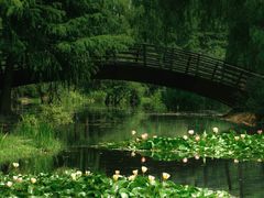 -上海辰山植物园