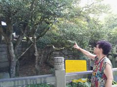 -普陀山慧济禅寺