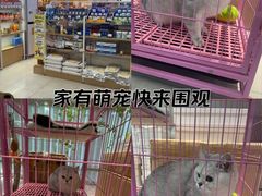-翊宠yipet猫狗购宠庄园犬舍•猫舍
