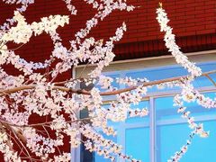 -东北师范大学(净月大街校区)