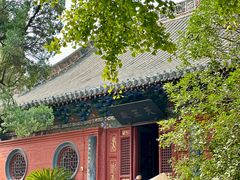 -洛阳白马寺