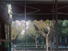 -先春西湖龍井•九曲红梅(杭大路店)