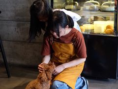 -Home Cafe(水榭春天店)