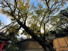 -惠山古镇·寄畅园