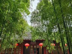 -天一阁博物院