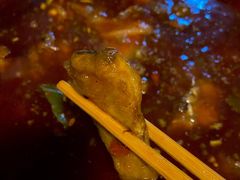 -肖肖酸萝卜鱼火锅(总店)