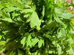 -十六蒲(桂林路店)