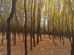 -野鸭湖国家湿地公园