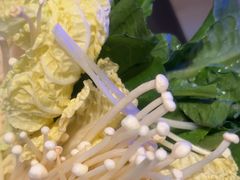 -宽来·欢聚火锅(来福士广场水景店)