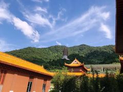 -深圳仙湖植物园