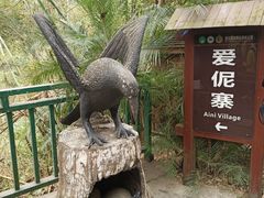 -西双版纳原始森林公园
