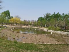 -莲花池公园