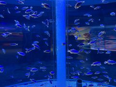-海合安成都极地海洋公园