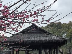 -兰亭风景区