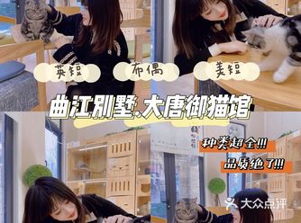 西安首家丨别墅级超大型×品质猫舍×在线撸猫