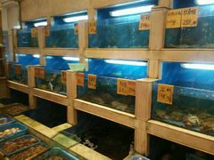 -老福州闽菜馆(温泉路店)
