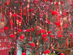 -凤凰楼酒家·粤宴点心(华强北店)