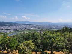 -岚山猴子公园