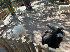 -水上乐园·欢乐世界