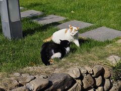 -陆家嘴世纪金融广场