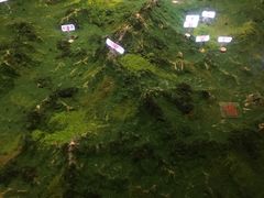 -井冈朱毛会师广场