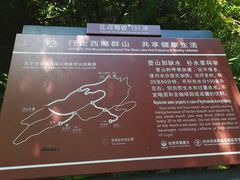 -九曜山