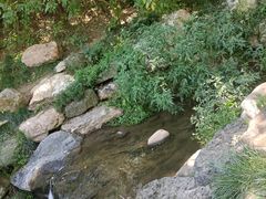 -大连植物园