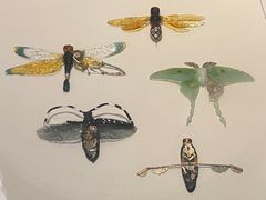 -浙江西湖美术馆