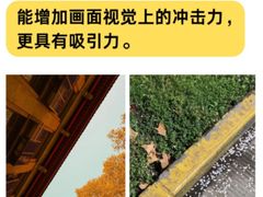 -CGWANG王氏教育(上海校区)