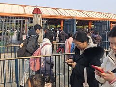 -迪士尼小镇