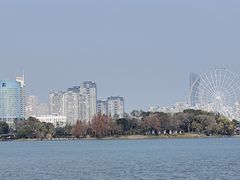 -长广溪湿地公园