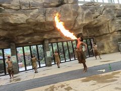 -杭州开元森泊度假乐园