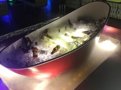 -纽扣NEWKO