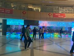 -河南省人民医院(院本部)