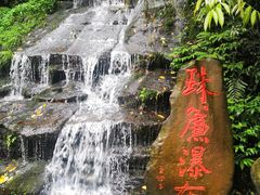 -中国大熊猫保护研究中心雅安碧峰峡基地