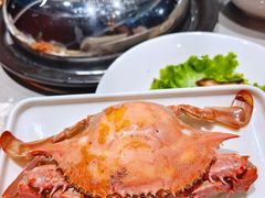 -大锅强·蒸海鲜青岛菜(吾悦广场店)