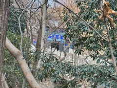 -石老人观光园